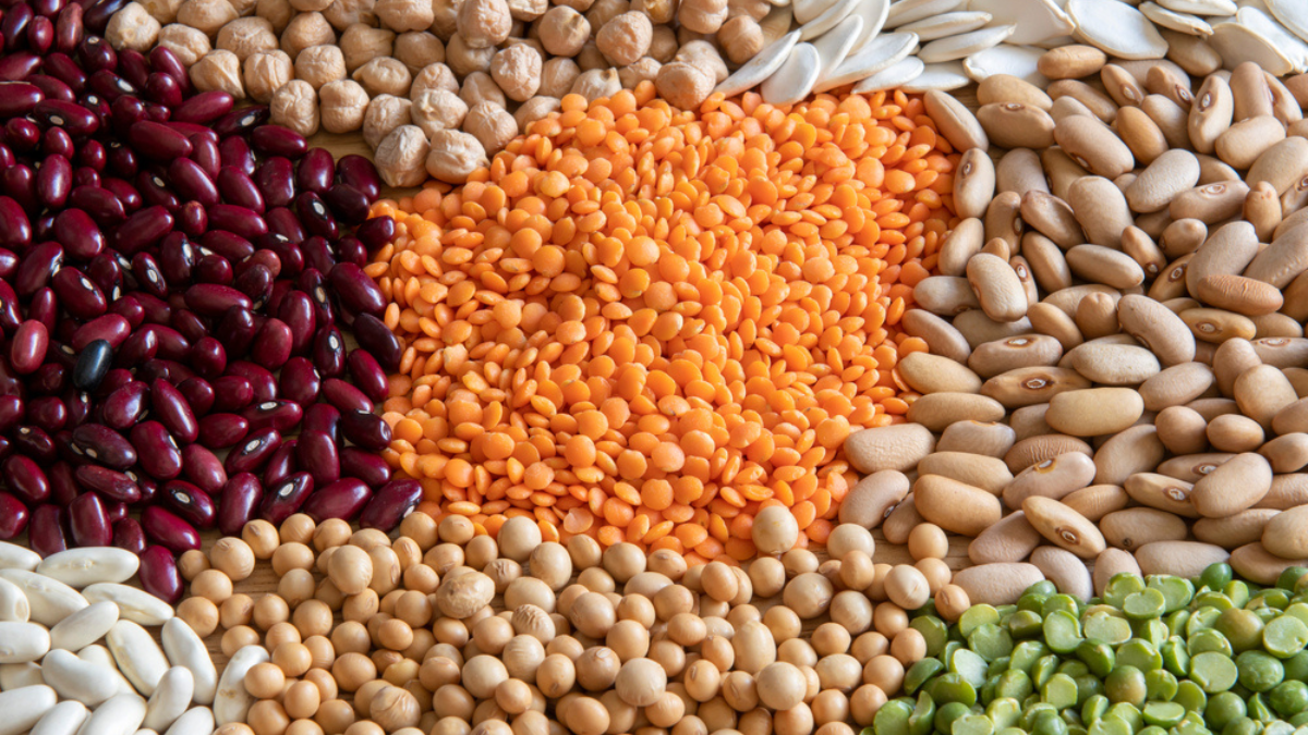 Better Food. Better Planet. Better You.