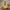 Amla Juice Fresh