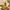 Ayurvedic Hair Oil