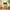 Jowar Whole