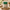Chawli (Lobia beans - White)