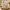 Chawli (Lobia beans - White)