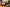 Promotion banner